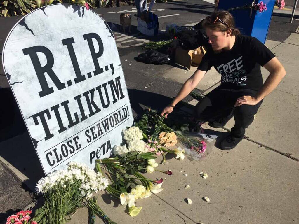 Vigil for Tilikum the Orca