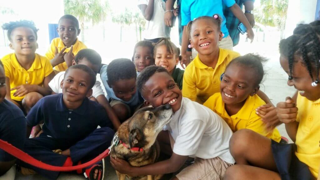 Magaly Madrid's class. Winner of TeachKind's 2017 Teacher Appreciation Contest