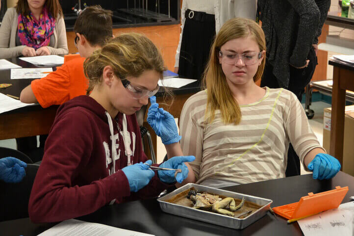 Young student dissuaded by unnecessary and cruel frog dissection