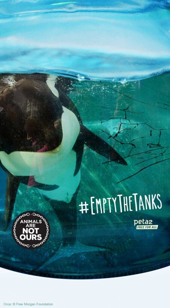 "Empty the Tanks" poster