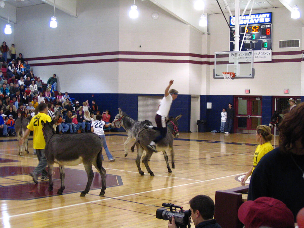 Donkey basketball court