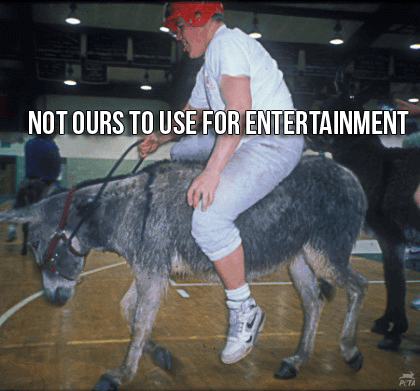 Donkey Basketball Social Post