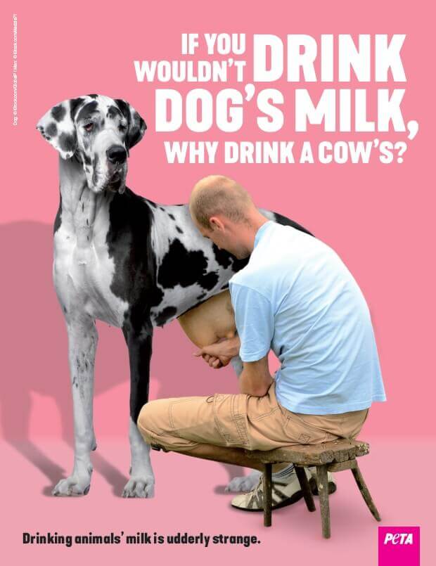 If You Wouldn't Drink Dog's Milk Why Drink A Cow's?