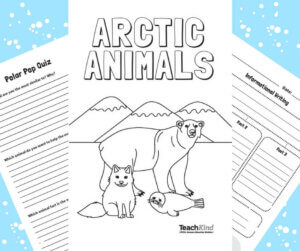 Arctic Animals Activity Featured Image