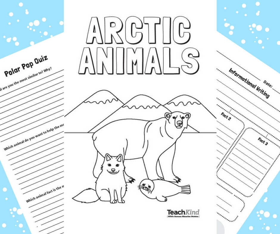 Arctic Animals Activity Featured Image