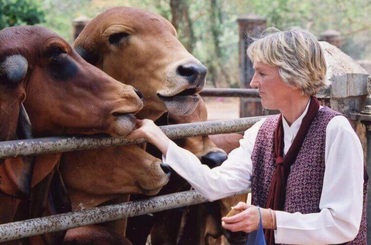 Ingrid Newkirk with cows