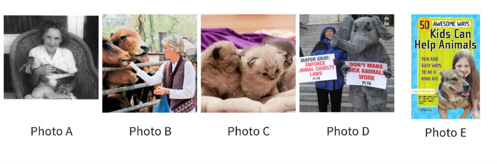 images from reading sheet