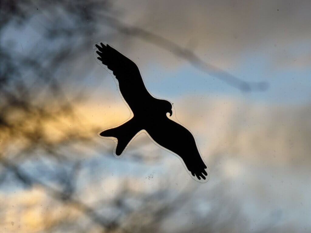 Bird window decal