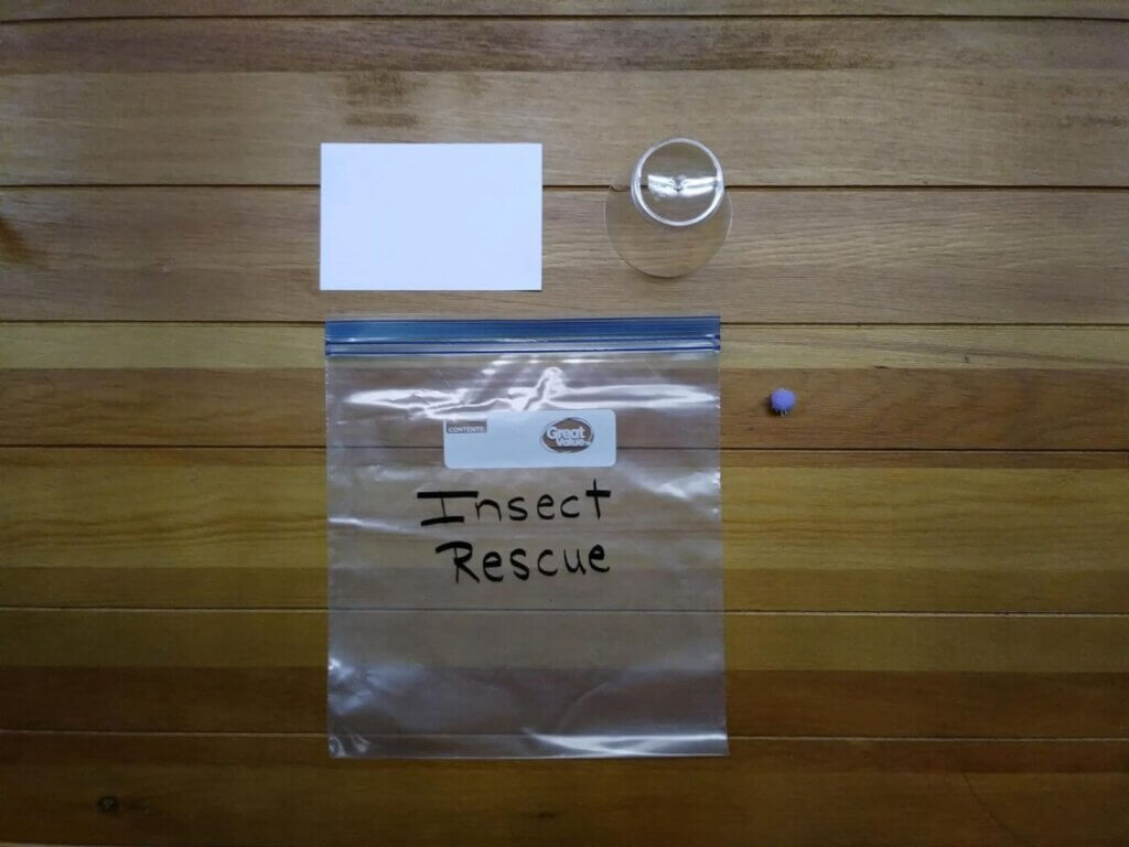 Insect Rescue Kit