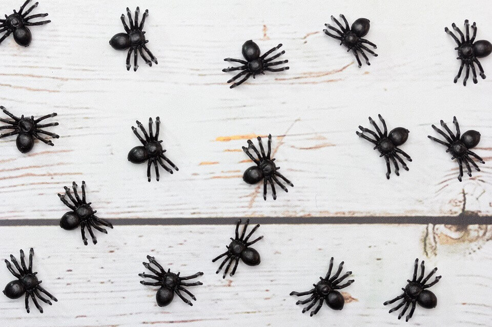 Toy spiders