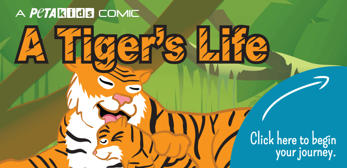 A Tiger's Life comic book