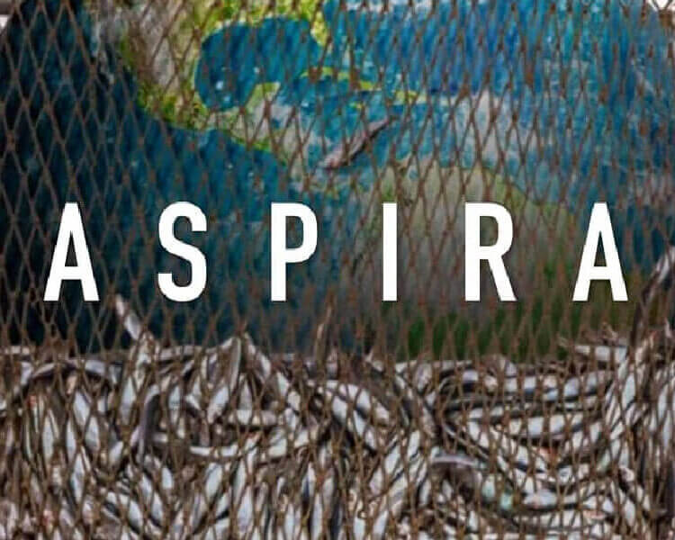 Seaspiracy movie poster