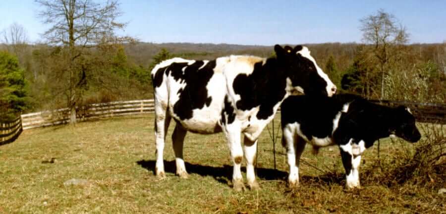 Idabelle and her son, Jimmy, happy to be together.