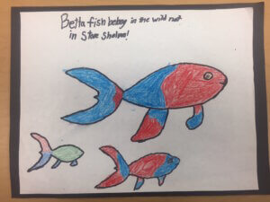 Student drawing: betta fish belong in the wild