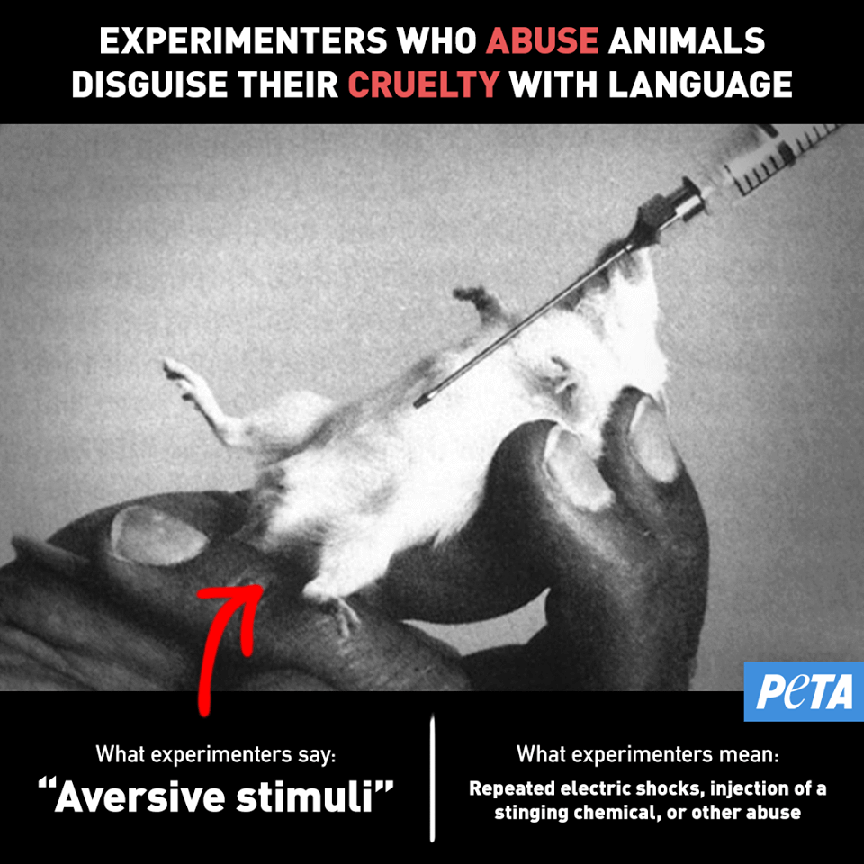 Experimenters who abuse animals disguise their cruelty with language