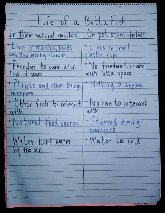 T-chart comparing the life of betta fish in their natural habitat vs on store shelves