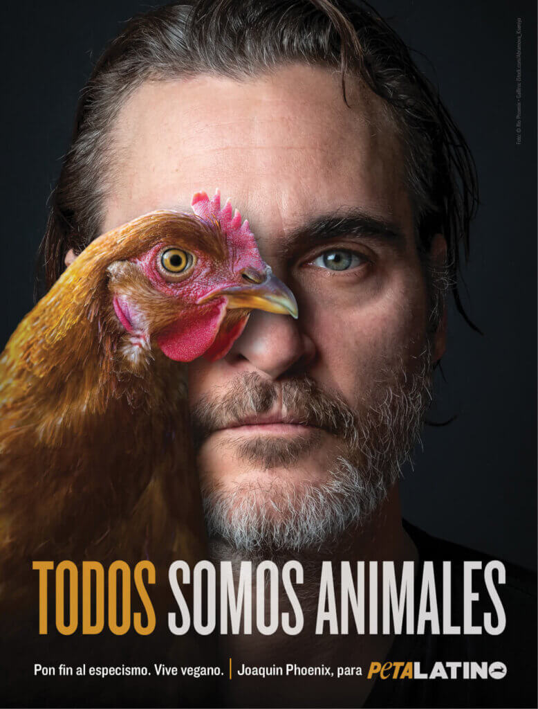 Todos somos animales
