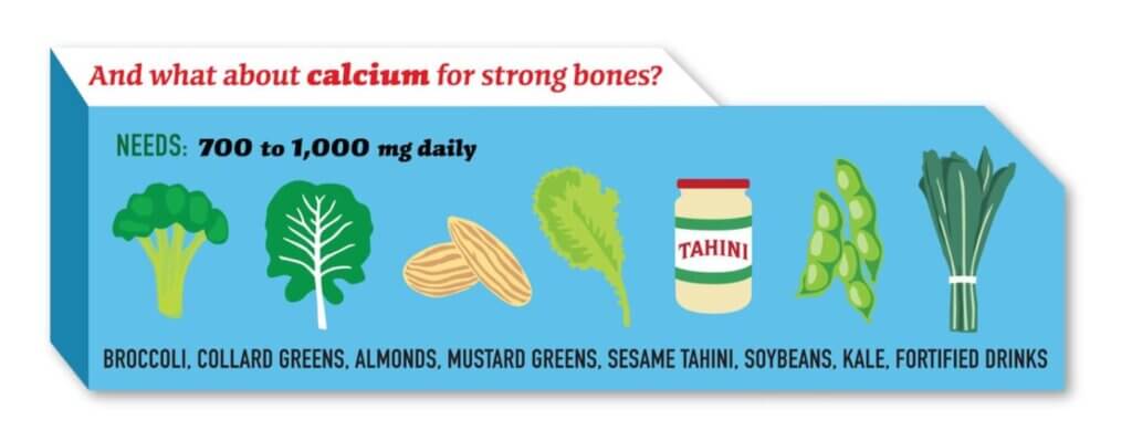 Various plant sources of calcium