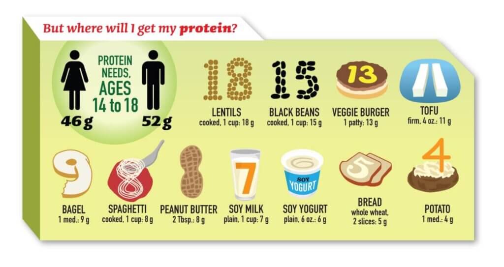 Various sources of plant protein