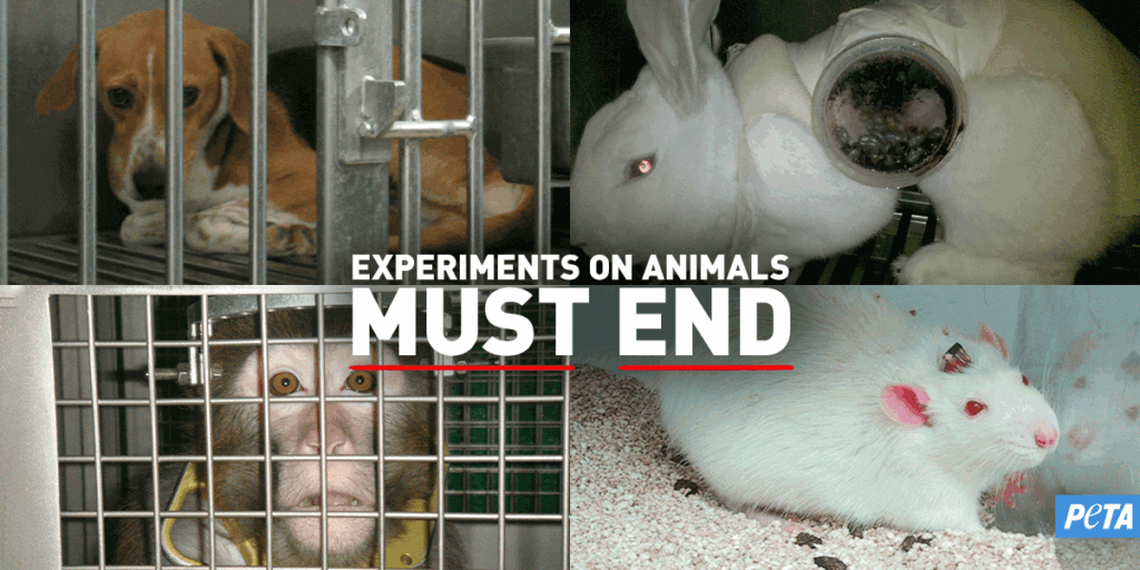 Experiments on Animals Must End