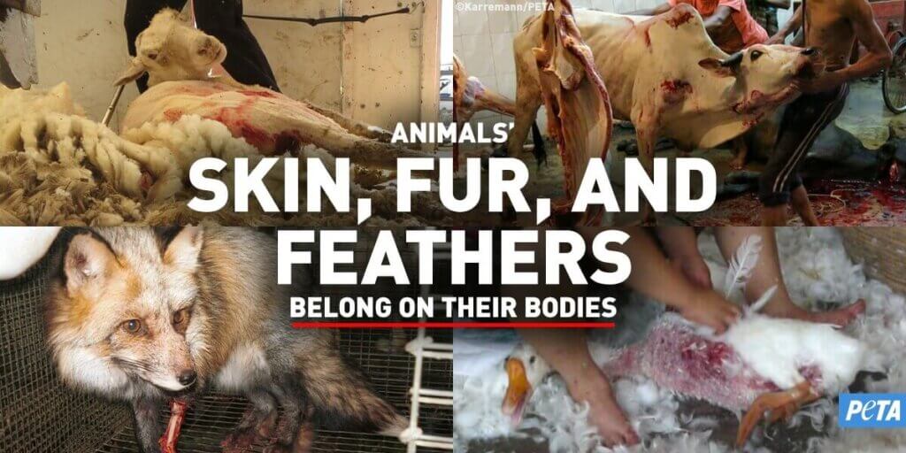 Animals' Skin, Fur, and Feathers Belong on their Bodies