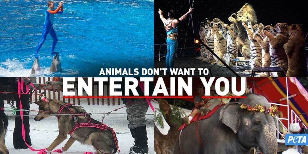 Animals Don't Want to Entertain You poster showing dolphins, lions, elephants, and dogs cruelly being used as sources of entertainment.
