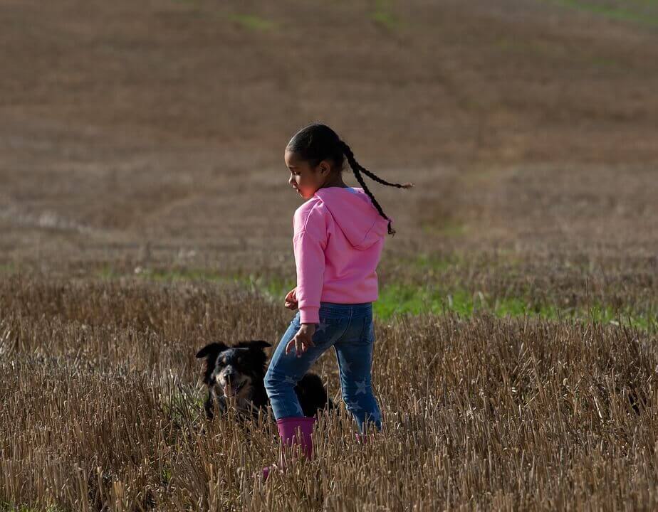 Girl and dog in a field