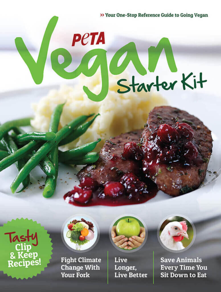 Vegan Starter Kit