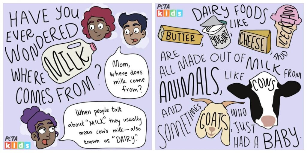 Dairy comic strip from PETA Kids