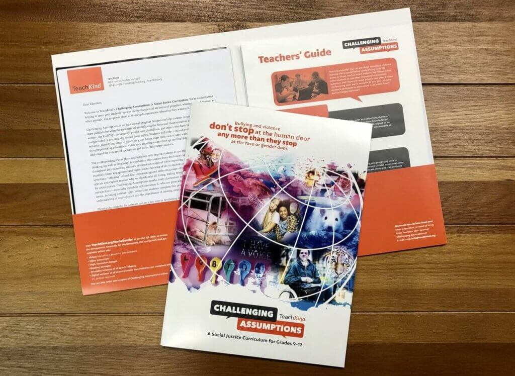 Challenging Assumptions Kit