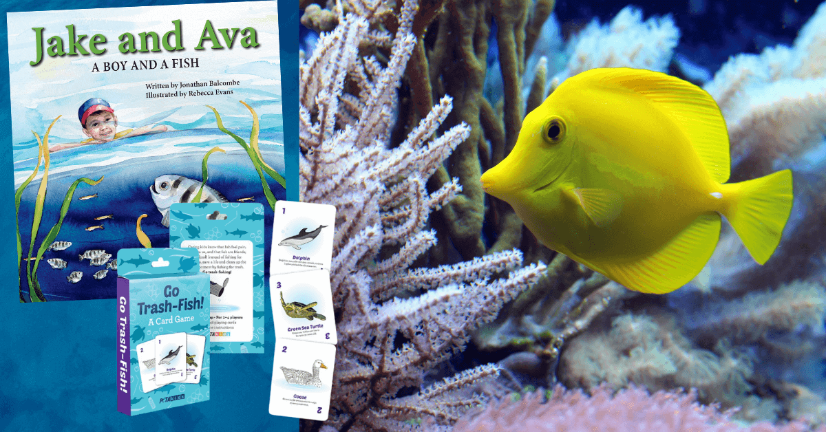 Don’t judge a book by its cover. As one scientist says, “Fish are more intelligent than they appear.”