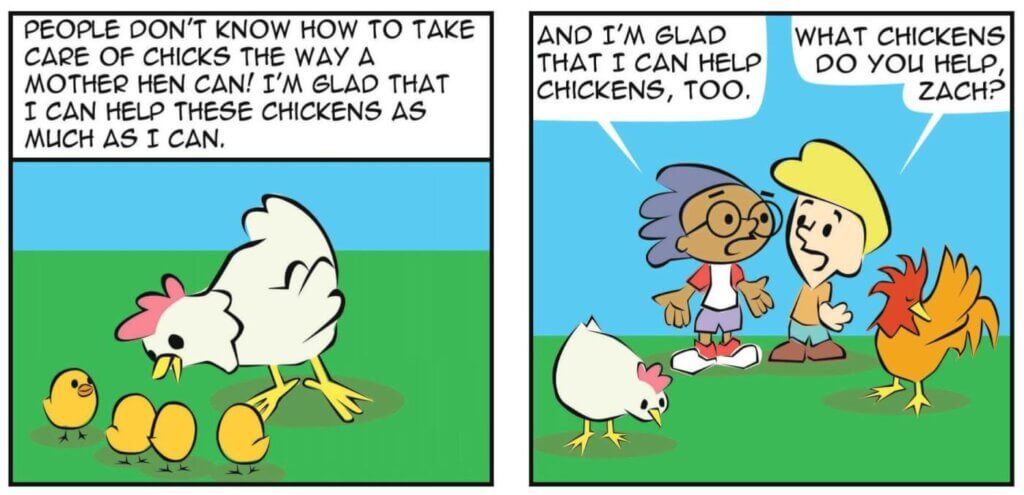 A snip from "A Chicken's Life" comic about how mother hens care for their babies