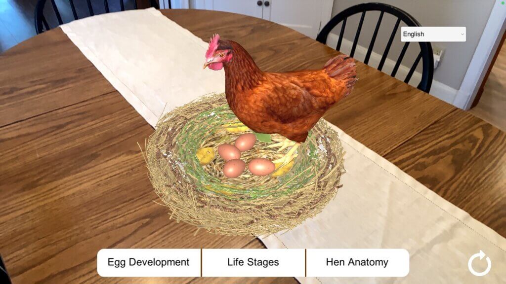 A virtual reality tool placing an image of a hen and her eggs on a kitchen table