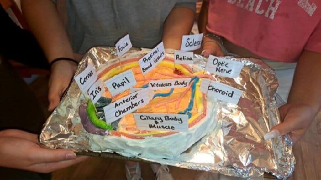 Humane eyeball dissection cake diorama