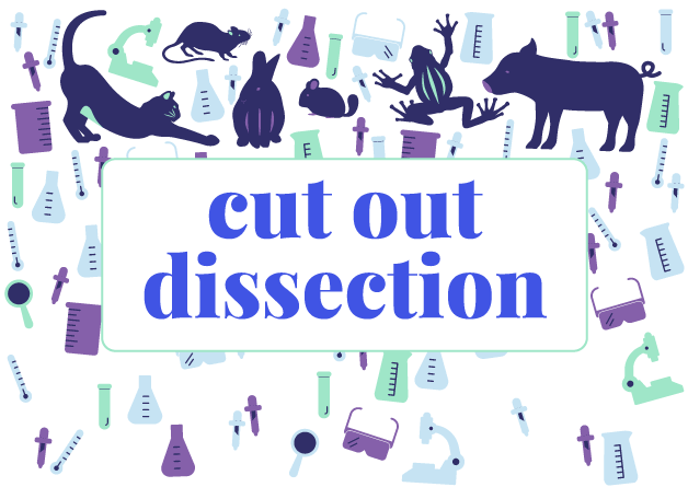 cut out dissection