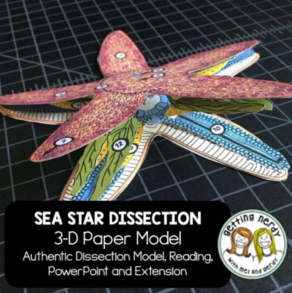 Paper starfish dissection kit from Getting Nerdy