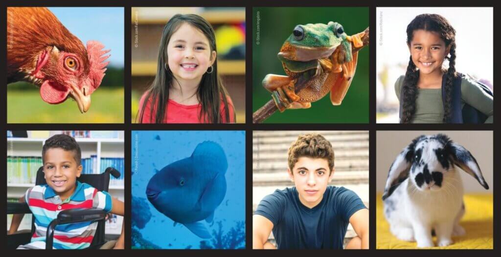 students and animals collage