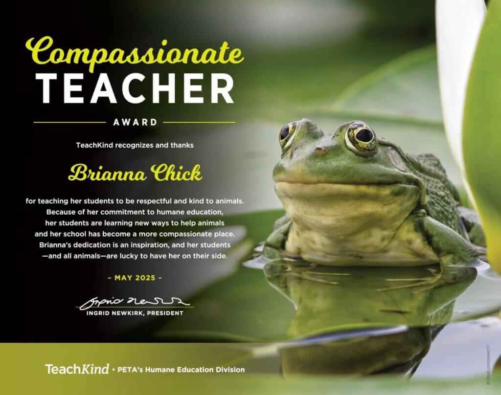 Teacher of the Year award