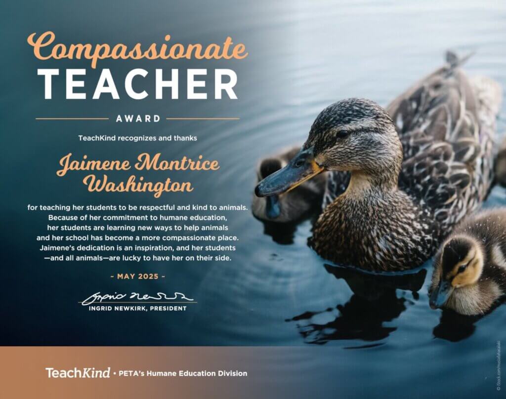 Teacher of the Year award