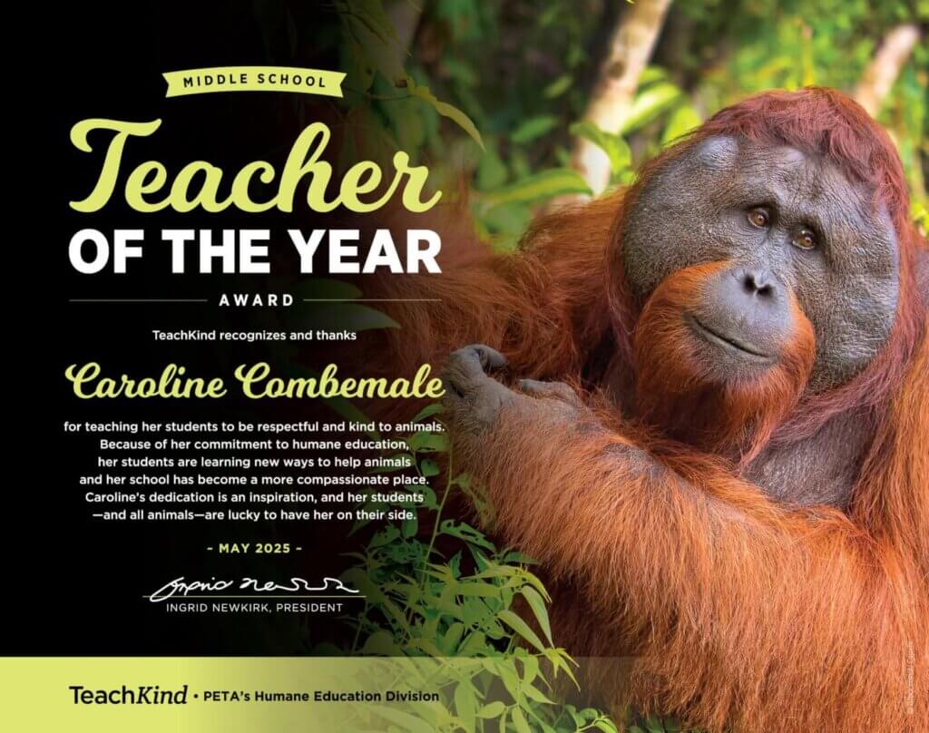 Teacher of the Year award