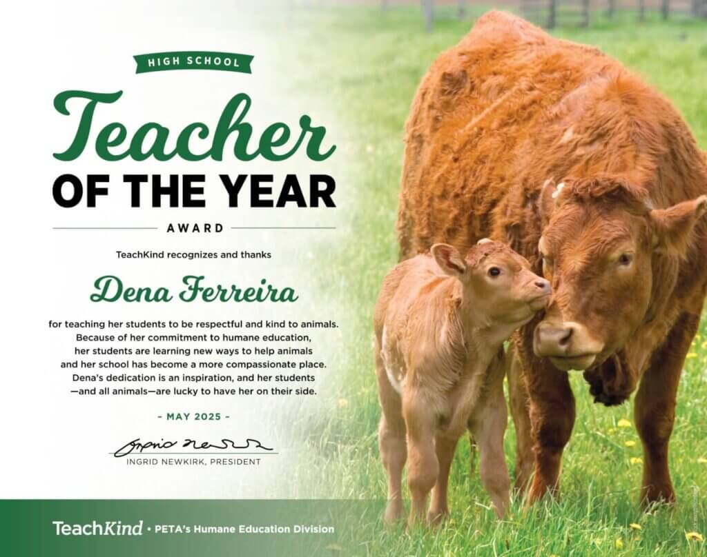 Teacher of the Year award