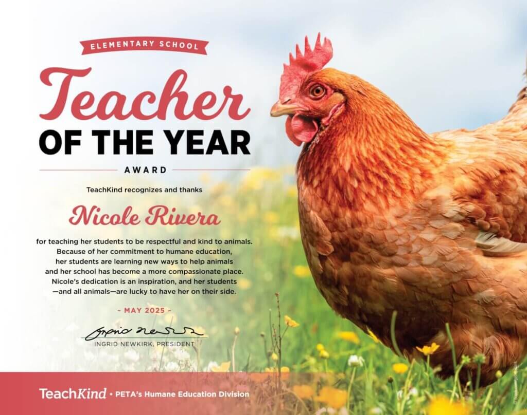Teacher of the Year award