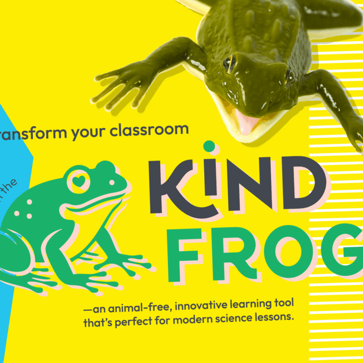 kind frog, a synthetic frog