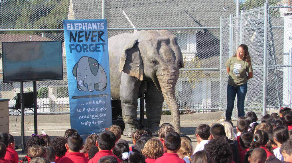 Teachkind's Ellie the Elephant