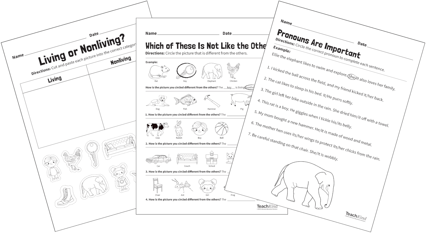 A class lesson worksheet about living or nonliving things or animals, and pronouns