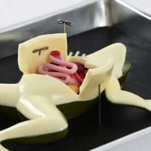 PETA's Kind Frog