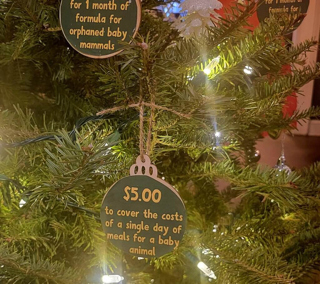 Angel tree for animals, benefiting an accredited sanctuary