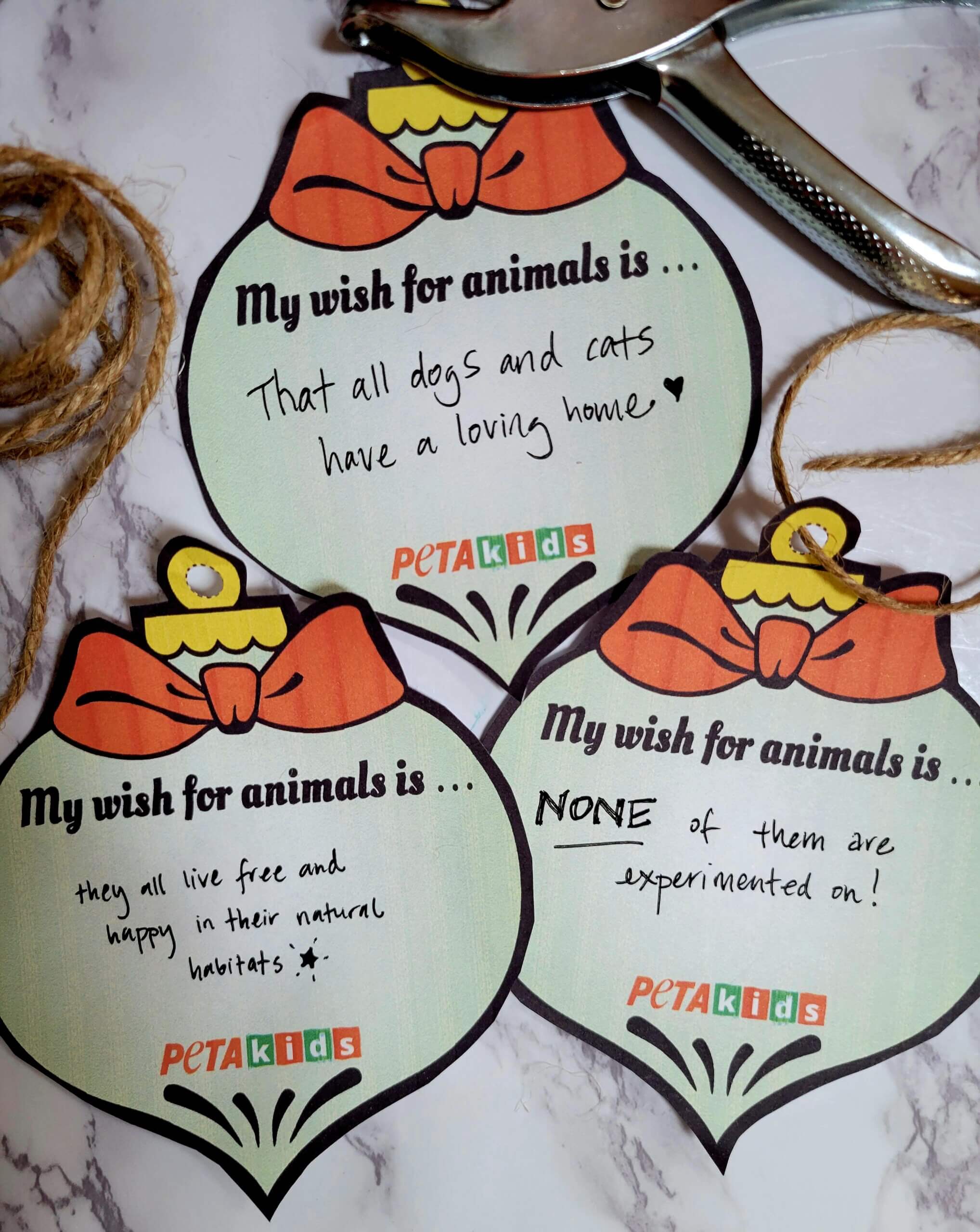 PETA Kids Holiday Ornament Craft "My Wish for animals..." 3 ornaments