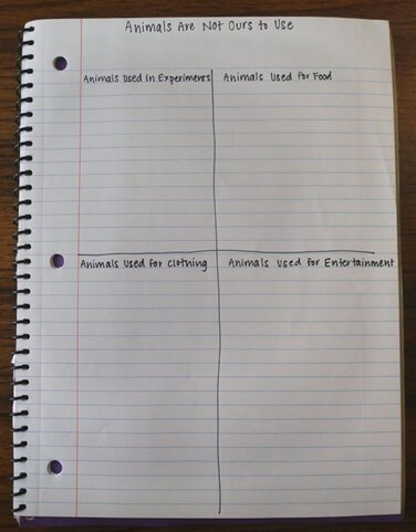 Animals are not ours to use graphic organizer - animals used in experiments, used for food, used for clothing, and used for entertainment