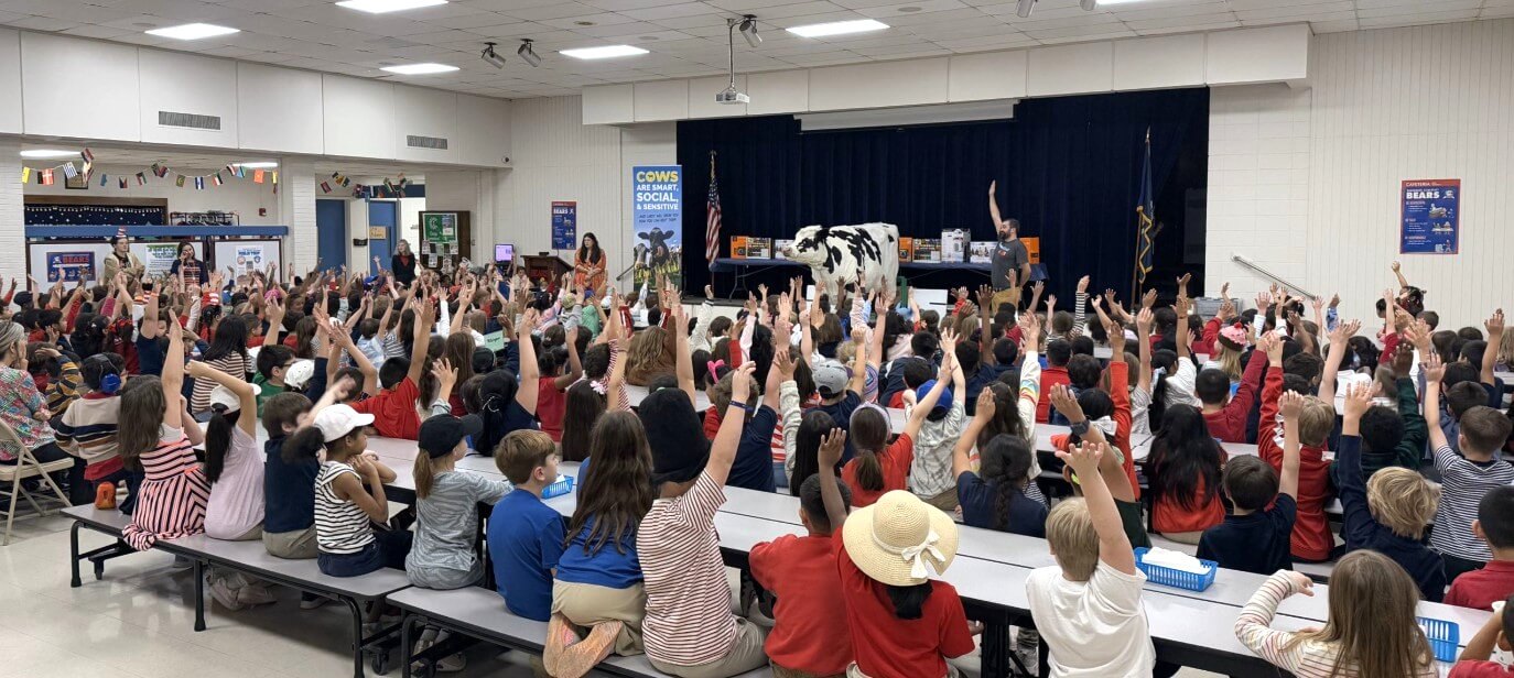 Carly the Cow presenting to a large group of children, everyone is raising their hands